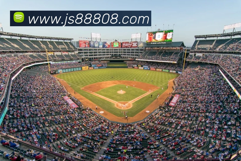 奖项证书